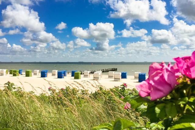 Haus Uthlande Uthlande Whg 4 Apartment Wyk auf Föhr Екстериор снимка
